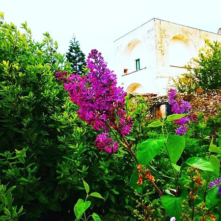 Masseria Delle Rose 1760 阿莱萨诺