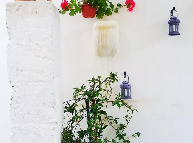 Masseria Delle Rose 1760 לינה וארוחת בוקר