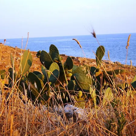 Masseria Delle Rose